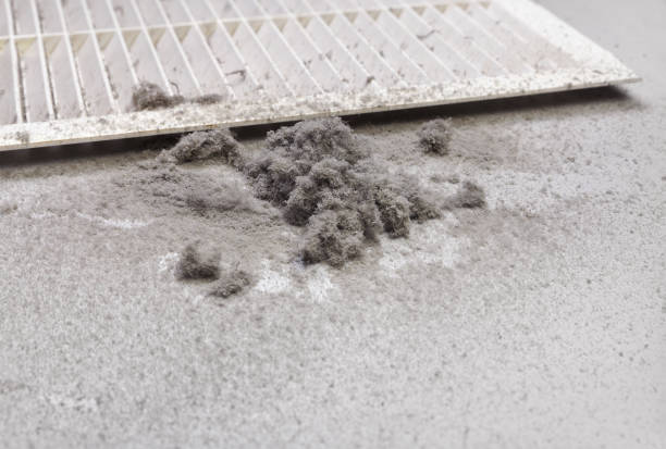 Best Air Duct Cleaning Near Me  in Black Creek, WI